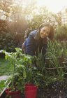 Porträt lächelnde aktive Seniorin bei der Gartenarbeit — Stockfoto