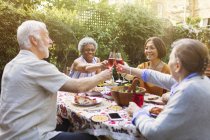 Amigos mayores activos brindando copas de vino rosa en la fiesta del jardín - foto de stock