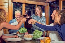 Friends celebrating, drinking red wine and enjoying dinner in cabin — Stock Photo