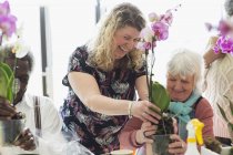 Lächelnde Ausbilderin und Seniorin im Blumenarrangements-Kurs — Stockfoto