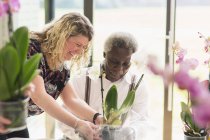 Instrutora feminina ajudando o homem idoso ativo na classe arranjo de flores — Fotografia de Stock