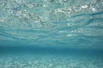 Vista subaquática tranquilo oceano azul, Vava 'u, Tonga, Oceano Pacífico — Fotografia de Stock