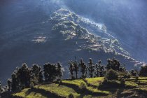 Malerische Aussicht sonnige Ausläufer, supi bageshwar, uttarakhand, indische Ausläufer des Himalaya — Stockfoto