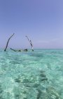 Junge Frau liegt in Hängematte über ruhigem blauem Ozean, Malediven, Indischem Ozean — Stockfoto