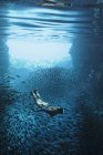 Junge Frau schnorchelt unter Wasser zwischen Fischschwärmen, Vava 'u, Tonga, Pazifik — Stockfoto