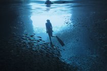 Женщина ныряет с маской под водой среди рыб, Ваву, Тонга, Тихий океан — стоковое фото