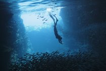 Jovem mulher snorkeling subaquático entre escolas de peixes, Vava 'u, Tonga, Oceano Pacífico — Fotografia de Stock
