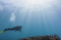 Mujer buceando bajo el agua, Maldivas, Océano Índico - foto de stock