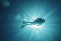 Солнце светит за женщиной ныряя с аквалангом под водой, Мальдивы, Индийский океан — стоковое фото