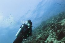 Ritratto subacqueo, Vava'u, Tonga, Oceano Pacifico — Foto stock
