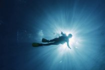Sol brilhando atrás de mulher mergulho subaquático, Maldivas, Oceano Índico — Fotografia de Stock