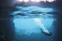 Donna immersioni subacquee, Vava'u, Tonga, Oceano Pacifico — Foto stock