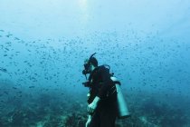 Mann taucht unter Wasser zwischen Fischschwärmen, Vava 'u, Tonga, Pazifik — Stockfoto