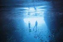 Casal snorkeling subaquático entre peixes, Vava 'u, Tonga, Oceano Pacífico — Fotografia de Stock
