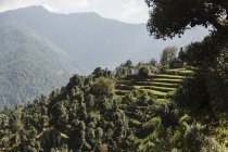 Vista panorámica soleada colinas verdes, Supi Bageshwar, Uttarakhand, Indio Himalaya Foothills - foto de stock