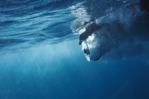 Под водой в голубом океане — стоковое фото