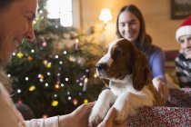 Familia con cachorro en caja de regalo de Navidad - foto de stock