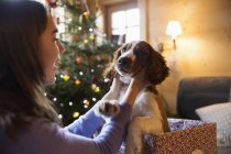Teenager-Mädchen streichelt süßen Hund in Weihnachtsgeschenkbox — Stockfoto