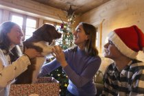 Famiglia che gioca con il cane nella confezione regalo di Natale — Foto stock
