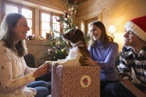 Щаслива сім'я з собакою в різдвяній подарунковій коробці — стокове фото