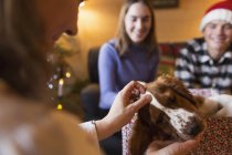 Family petting dog in Christmas living room — Stock Photo