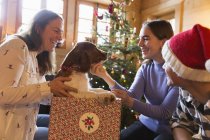 Familie spielt mit Hund in Weihnachtsgeschenkbox — Stockfoto