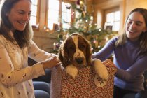 Madre e figlia che giocano con il cane nella confezione regalo di Natale — Foto stock