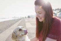 Woman with cute dog on sunny beach boardwalk — Stock Photo