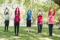 Idosos ativos exercitando, praticando ioga no parque — Fotografia de Stock