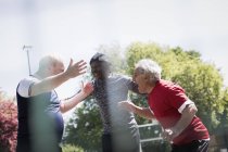 Happy active senior men friends celebrating ins sunny park — Stock Photo