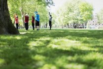 Aktive Senioren treiben Sport, praktizieren Yoga im Park — Stockfoto