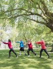 Активні літні люди практикують тай-чі в парку під деревом — стокове фото