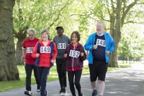 Aktive Senioren machen Walking-Rennen im Park — Stockfoto