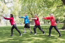 Active senior friends practicing tai chi in park — Stock Photo