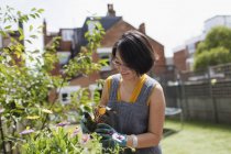 Жінка садівництво на сонячному подвір'ї — стокове фото