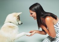Femme souriante secouant chien patte — Photo de stock