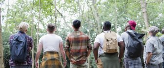 Männergruppe wandert, steht in einer Reihe und beobachtet Vögel im Wald — Stockfoto