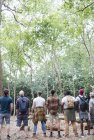 Männergruppe wandert, steht in einer Reihe und beobachtet Vögel im Wald — Stockfoto