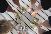 Vista desde arriba de amigos con zapatillas de pescado humorísticas en el muelle - foto de stock
