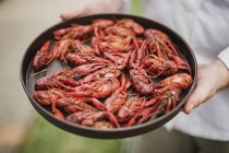 Chef holding tray of fresh crawfish, New Orleans, Louisiana, Estados Unidos - foto de stock