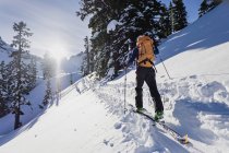 Лыжник движется вдоль солнечной снежной трассы на солнечной идиллической склоне горы — стоковое фото