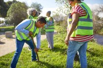 Des bénévoles plantent des arbres dans un parc ensoleillé — Photo de stock