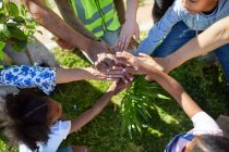 Voluntários unindo as mãos, plantando árvores no parque — Fotografia de Stock