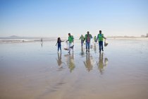 Волонтери прибирає послід на сонячному піщаному пляжі — стокове фото