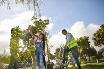 Kid volunteers high-fiving, planting trees in sunny park — Stock Photo