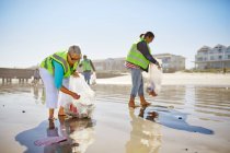Женщины-волонтеры собирают мусор на солнечном песчаном пляже — стоковое фото