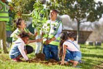 Volontari piantare alberi nel parco — Foto stock