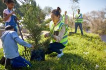 Mulher e crianças voluntários plantando árvore no acampamento ensolarado — Fotografia de Stock