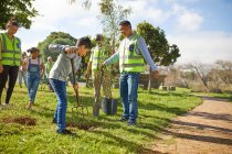 Багатоповерхові сімейні волонтери висаджують дерева в сонячному парку — стокове фото