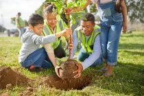 Family volunteers planting tree in sunny park — Stock Photo